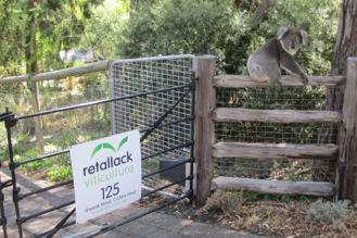 Mary Retallack